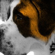Chien grand